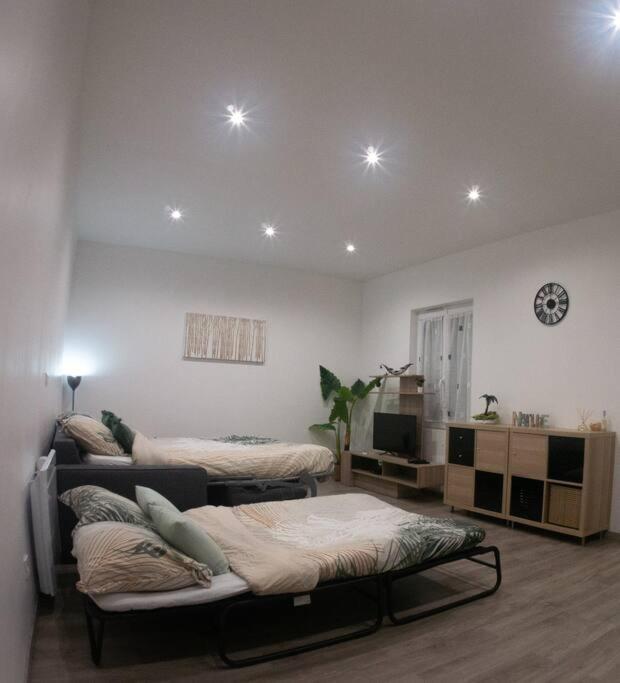 Apartmán *Douceur Des Tropiques*Parisis Argenteuil Exteriér fotografie